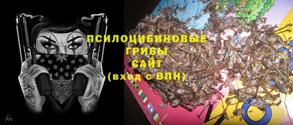 первитин Балахна